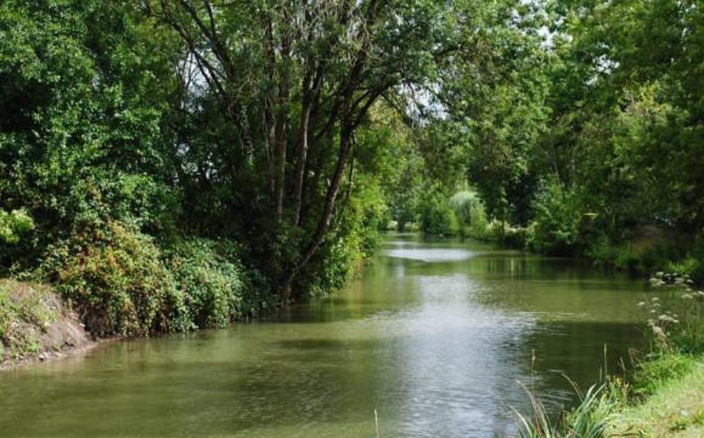 La Poussardiere Saint-Martin-sous-Mouzeuil Exteriér fotografie